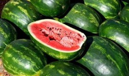 免费高质量吃瓜视频下载