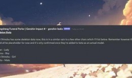 原神新夜阑角色爆料视频,神秘夜行者的奇幻冒险之旅