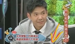 陈建州经纪人爆料视频播放,揭秘背后真相